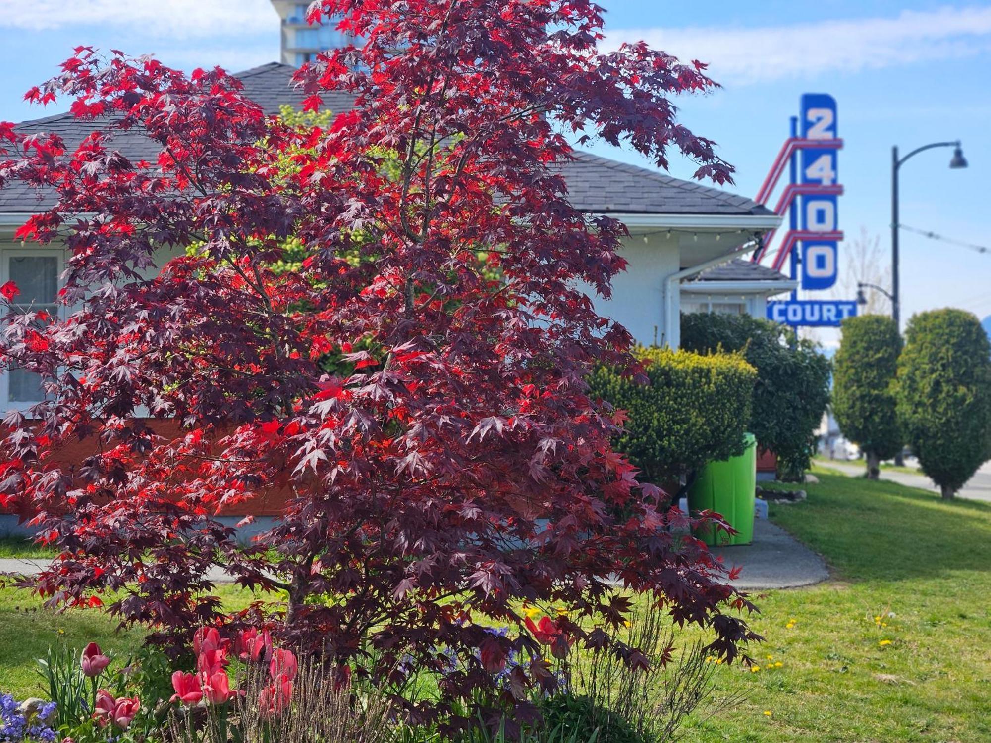 2400 Motel Vancouver Esterno foto